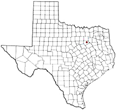 Palmer Texas Apostille Document Services