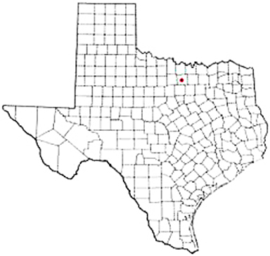 Paradise Texas Apostille Document Services