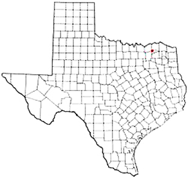 Pecan Gap Texas Apostille Document Services