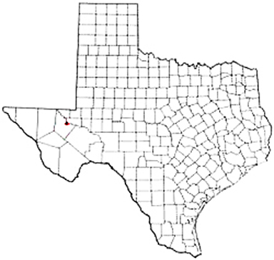 Pecos Texas Apostille Document Services