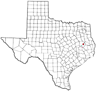 Pennington Texas Apostille Document Services
