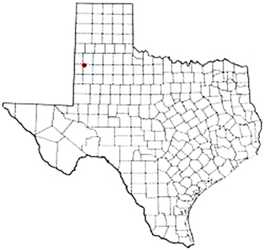 Pep Texas Apostille Document Services