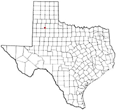 Petersburg Texas Apostille Document Services
