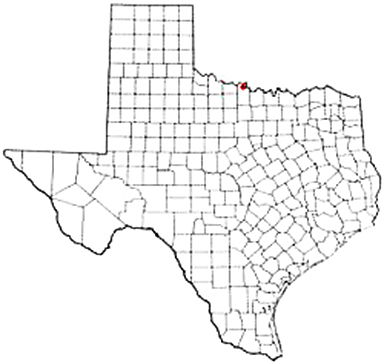 Petrolia Texas Apostille Document Services