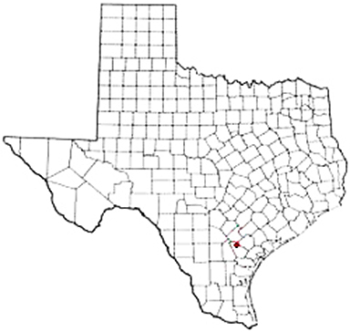 Pettus Texas Apostille Document Services