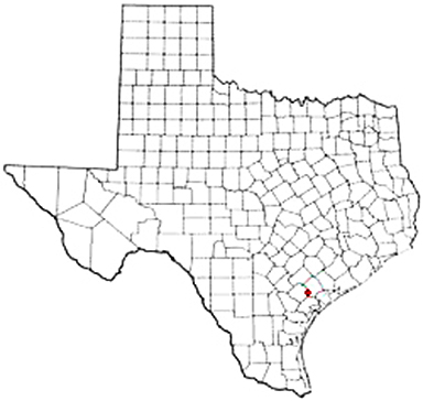 Placedo Texas Apostille Document Services