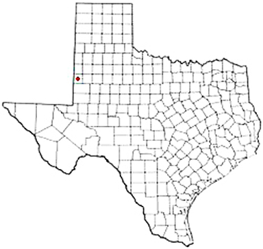 Plains Texas Apostille Document Services