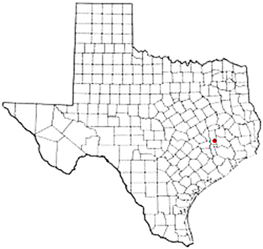 Plantersville Texas Apostille Document Services