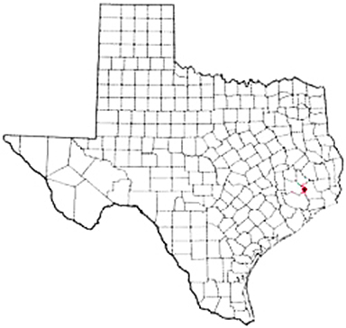 Plum Grove Texas Apostille Document Services