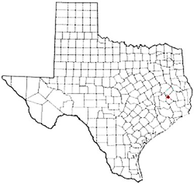 Point Blank Texas Apostille Document Services