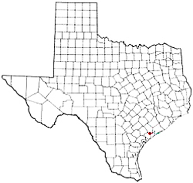Point Comfort Texas Apostille Document Services