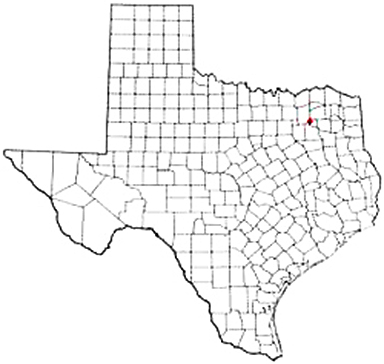 Point Texas Apostille Document Services