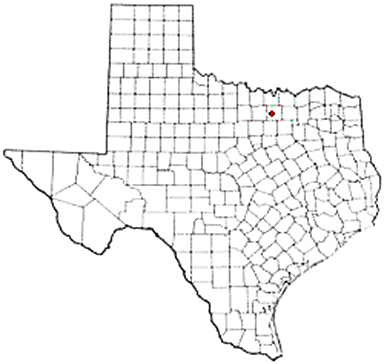 Ponder Texas Apostille Document Services