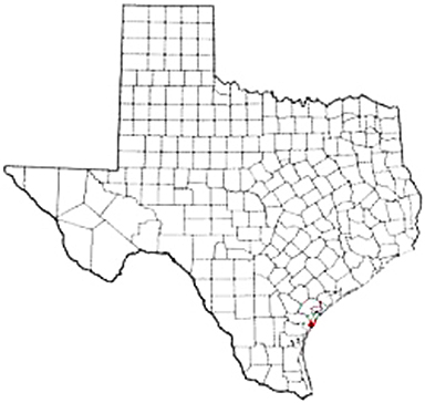 Port Aransas Texas Apostille Document Services
