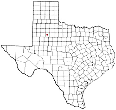 Post Texas Apostille Document Services
