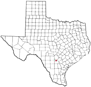 Poteet Texas Apostille Document Services