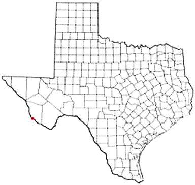 Presidio Texas Apostille Document Services