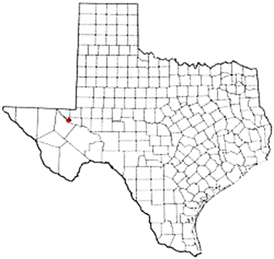 Pyote Texas Apostille Document Services