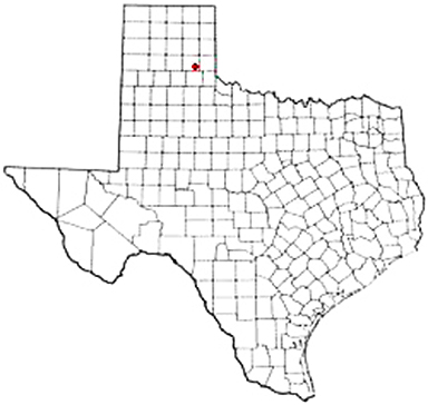 Quail Texas Apostille Document Services