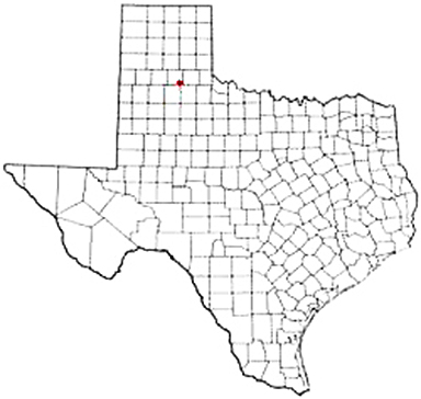Quitaque Texas Apostille Document Services