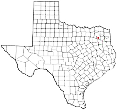 Quitman Texas Apostille Document Services