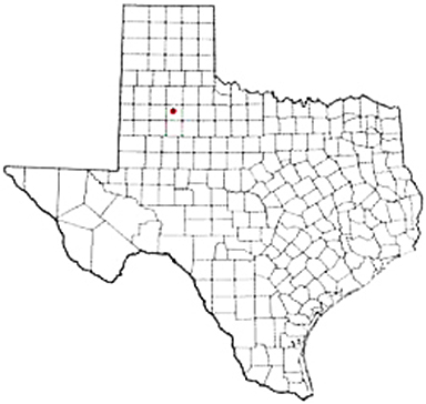 Ralls Texas Apostille Document Services