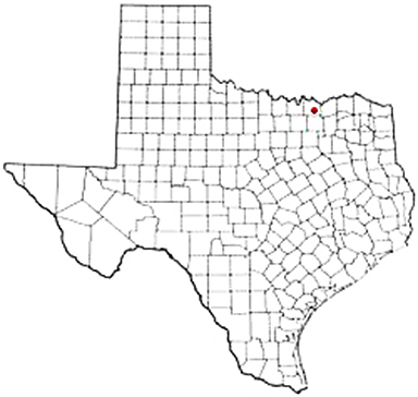 Randolph Texas Apostille Document Services