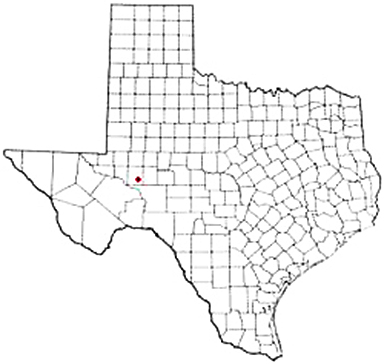 Rankin Texas Apostille Document Services