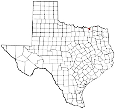 Ravenna Texas Apostille Document Services