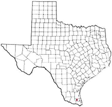Raymondville Texas Apostille Document Services