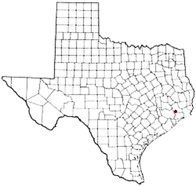 Raywood Texas Apostille Document Services