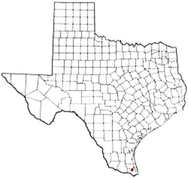 Rio Hondo Texas Apostille Document Services