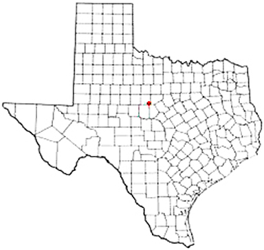 Rising Star Texas Apostille Document Services