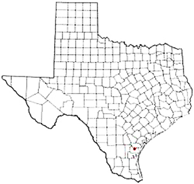Robstown Texas Apostille Document Services
