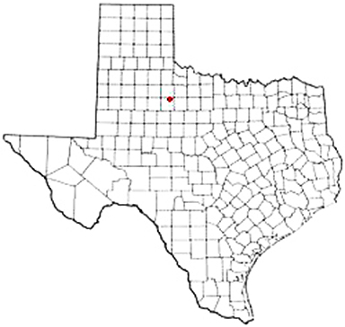 Rochester Texas Apostille Document Services