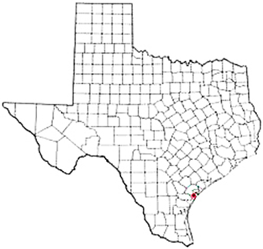 Rockport Texas Apostille Document Services