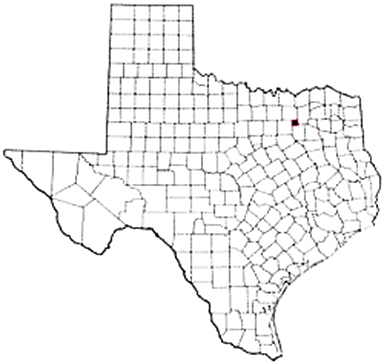 Rockwall Texas Apostille Document Services
