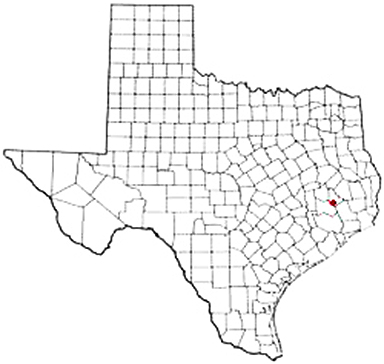 Romayor Texas Apostille Document Services