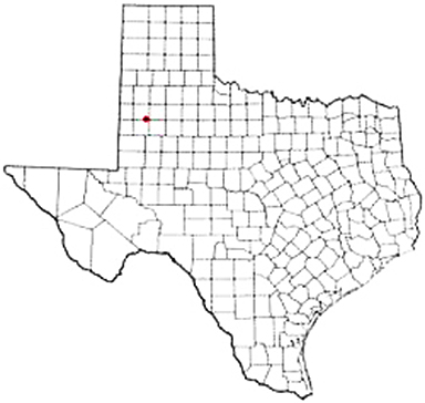 Ropesville Texas Apostille Document Services