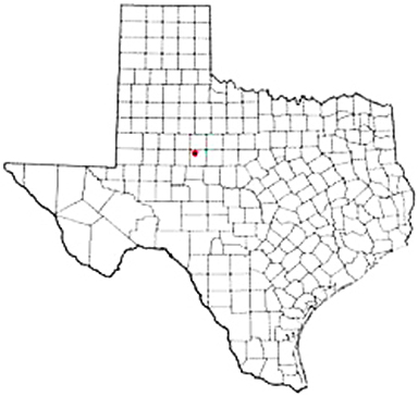 Roscoe Texas Apostille Document Services
