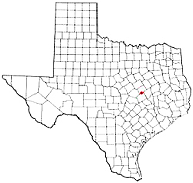 Rosebud Texas Apostille Document Services