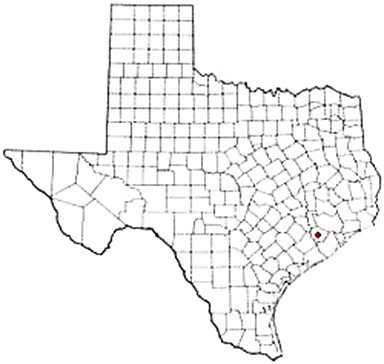 Rosenberg Texas Apostille Document Services