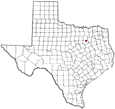 Rosser Texas Apostille Document Services