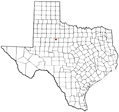Rotan Texas Apostille Document Services