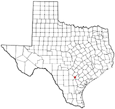 Runge Texas Apostille Document Services