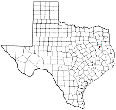 Sacul Texas Apostille Document Services