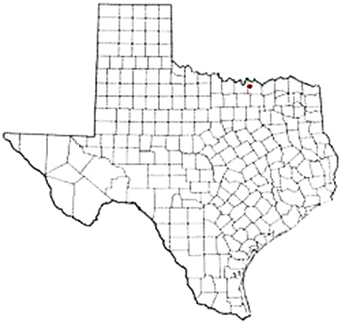 Sadler Texas Apostille Document Services