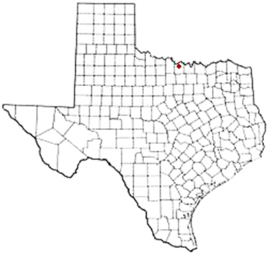 Saint Jo Texas Apostille Document Services