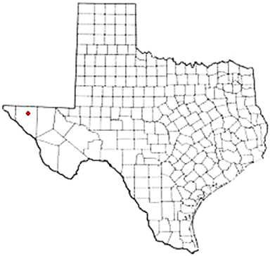 Salt Flat Texas Apostille Document Services