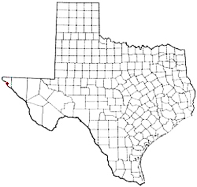 San Elizario Texas Apostille Document Services